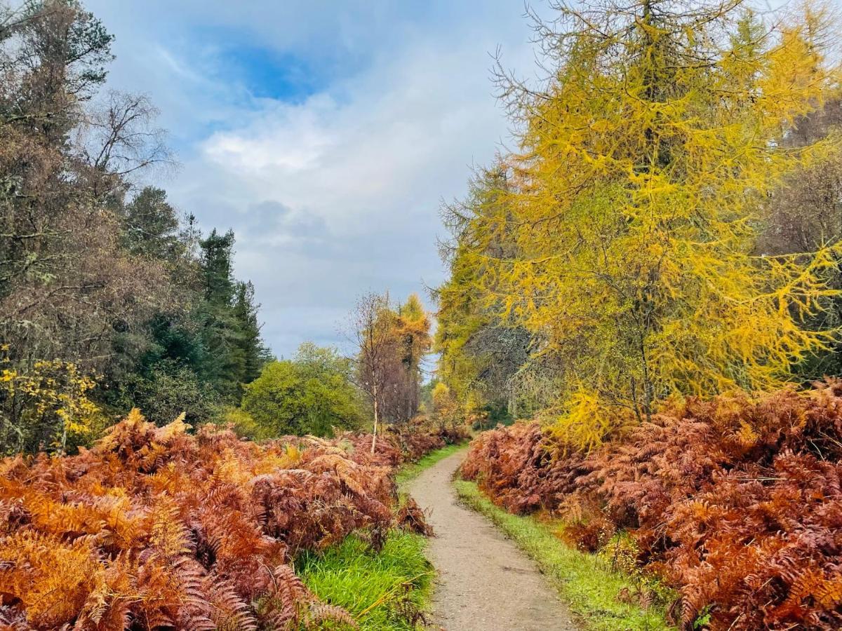 Shandwick House Tain Esterno foto